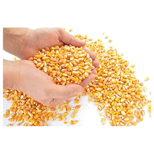 Samore 25 kg Futtermais Mais gelb