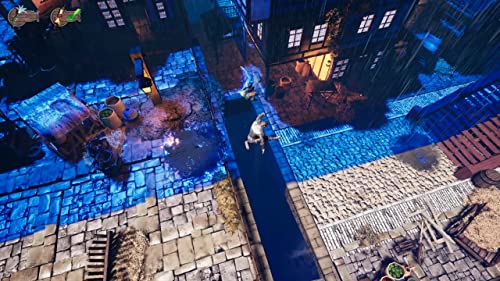 Runner Heroes The Curse of Night and Day Enhanced Edition PS5 Neuf - vue 4