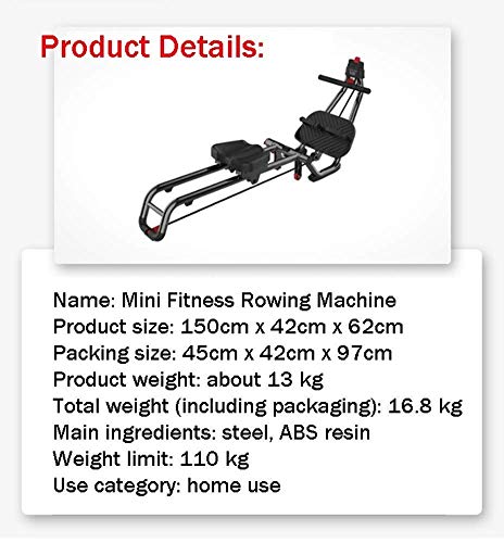 Rowing Machine Full-Body Workout in Action
