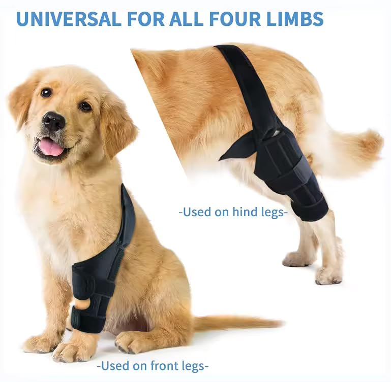 Image of Dog Leg Braces, Dog Knee Brace, Dog Hip Brace, Cruciate Care Knee Brace for Dogs (Small)
