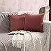 J Yunq 40x40 cm Housse de Coussin en Velours taie d'oreiller Pack de 2 Polyester canapé taie d'oreiller pour la Décoration Intérieure Salon Chambre Sofa (Brun, 40x40 cm)