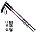 Hiking Trekking Poles by LotFancy - Ultralight Walking Sticks for Men Women, Tungsten Steel Spike Tip, Extra Rubber Tips Included (Pack of 2, Purple)