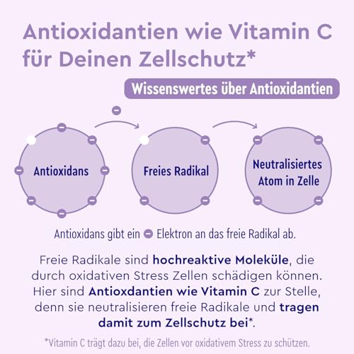 OPC Traubenkernextrakt Kapseln - 1052mg Extrakt PLUS Vitamin C pro Tagesdosis - Original französische Weintrauben - 180 vegane Tabletten - Unabhängig laborgeprüft