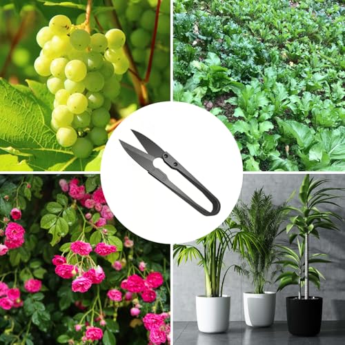 iCovalescent 5 StückeTrimmschere, Gartenschere, Beschichtete Premium Ernteschere Edelstahl, Trimmschere Bonsaiwerkzeug Bonsai Schere Schneiden Tuch Werkzeug zum Nähen Gardering