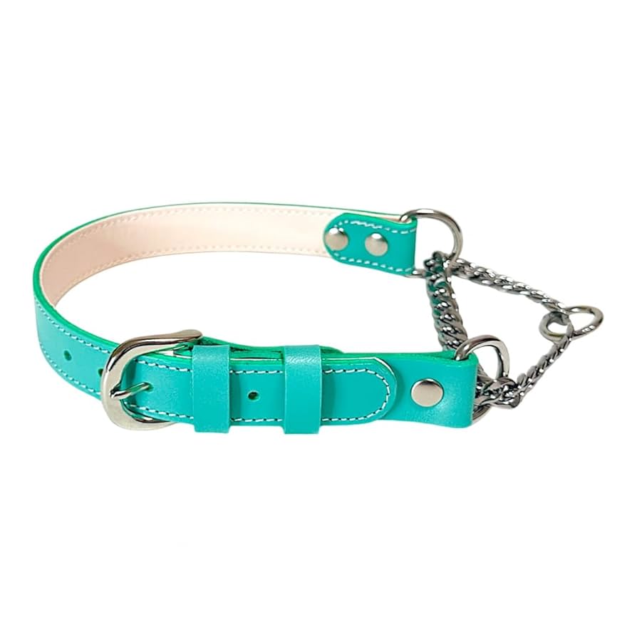 犬 首輪 ハーフチョーク Amazon | Beanspet ハーフチョーク首輪 金属チェーン付き 本革製