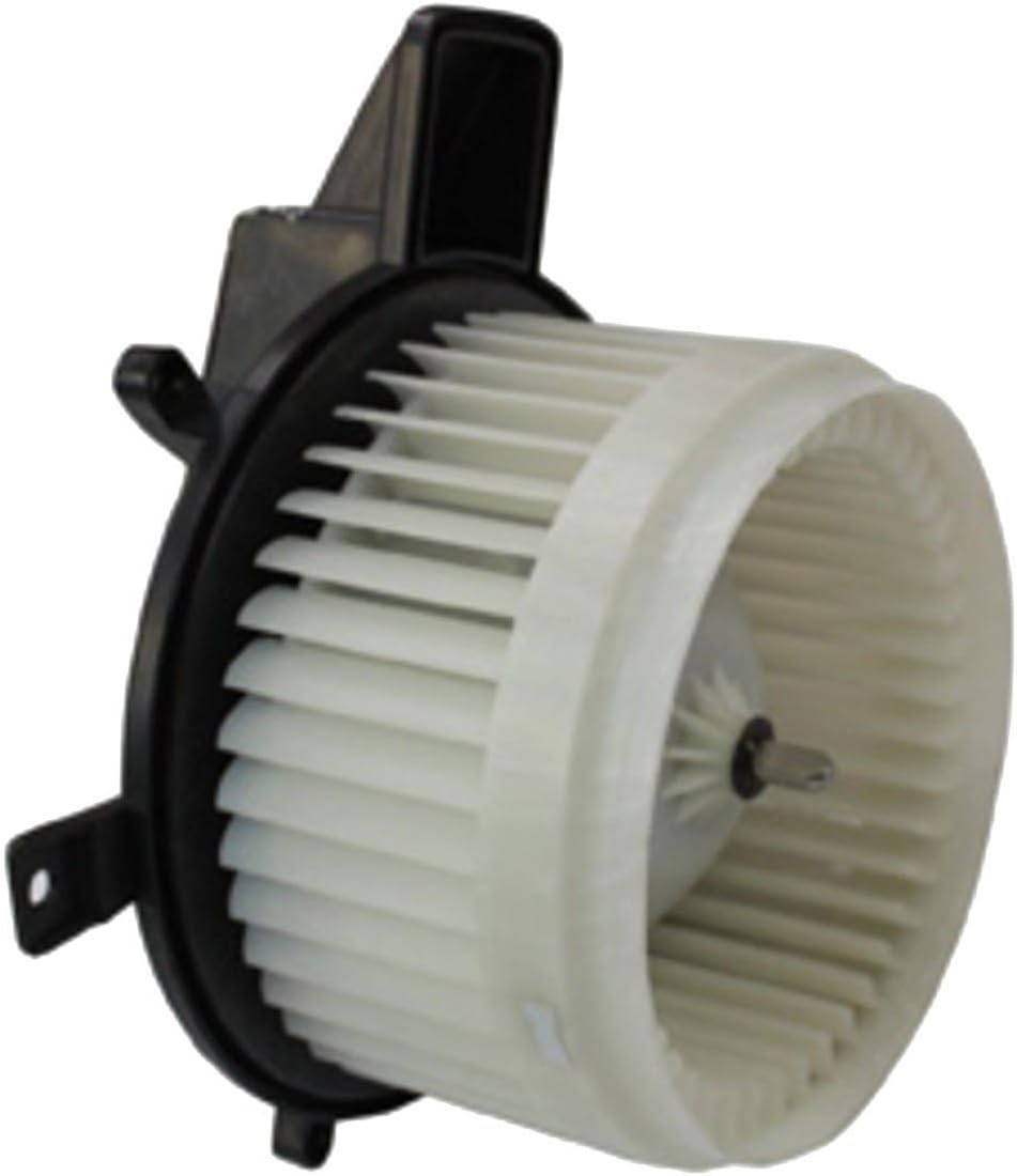 TYC 700216 Replacement Blower Assembly
