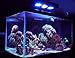 Corals Chat Aquarium Reef LED Light,30W Cree Spectrum Marine Saltwater Coral Aqua Knight LED Light Lamp with Timer and Sunrise Sunset Control for LPS/SPS Fish Nano Tank