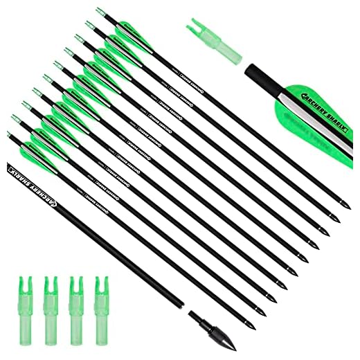 ARCHERY SHARLY 30Inch Carbon Arrow Practice Hunting Arrows with Removable Tips for Compound & Recurve Bow(Pack12) (Green and White)