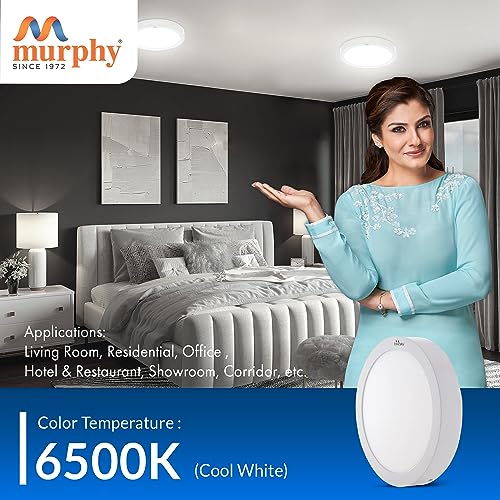 Image of Murphy Surface Mount Panel Slim Round 9-Watt LED Light (Cool White) - Pack of 4