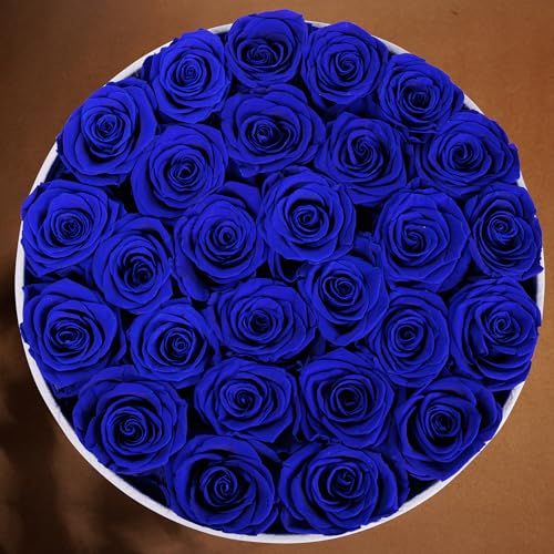 27 Flowers in a Luxury Suede Box, Birthday Gifts for Women, Preserved Flowers, Mothers Day Roses Gift for Mom, Royal Blue