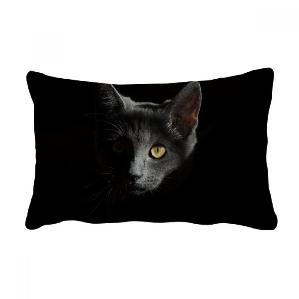 Coussin chat noir sauvage rectangulaire taie oreiller lombaire multicolore canapé lit