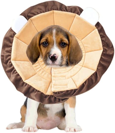 padded dog cone collar