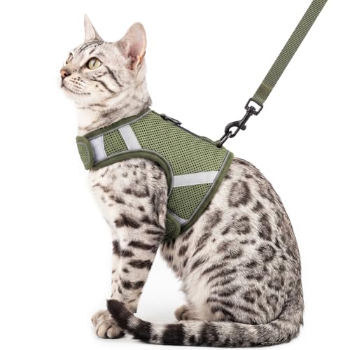 pangdi Cat Harness and Leash Set Escape Proof Kitten Harness No-Head-Pull Cat…
