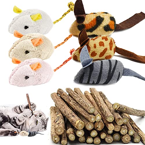 BOW CALICO 30 Katzenminze Sticks+6 Katzenminze Maus Spielzeug,Matatabi Katzen Kauhölzer,Katzen Spielzeug zahnpflege Katzen Sticks,Matatabi Zahnpflege Katzenminze Spielzeug Cover