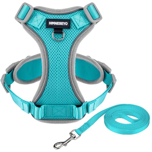 HIMNESEYO ���^���p�n�[�l�X�ƃ��[�V���Z�b�g�A��������Ȃ����߉\�ȃy�b�g�n�[�l�X���^���p�A�ʋC�����b�V�����ˌ��p�x�X�g�n�[�l�X(�^�[�R�C�Y�AS)