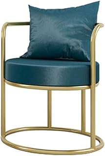 SHIJIANX Silla de Comedor Diseño Retro,Sillas de Comedor Nordicas Estilo Vintage,Silla de Cocina Silla de Escritorio Tapizada,Estructura de Metal,Adecuado para Dormitorio (21.6x27.1in)