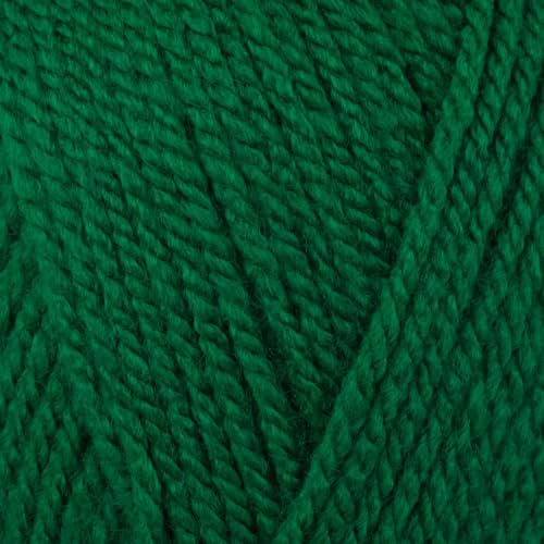 Stylecraft 9051116 Special Aran Green (1116) Yarn - 100g