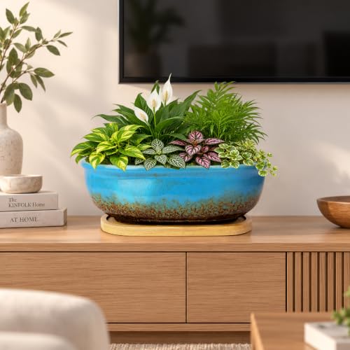 ARTKETTY Sukkulententöpfe, rechteckig mit Abtropfschale, ideal für Zimmerpflanzen wie Sukkulenten, Kaktusse, Bonsai… – Ansicht 5