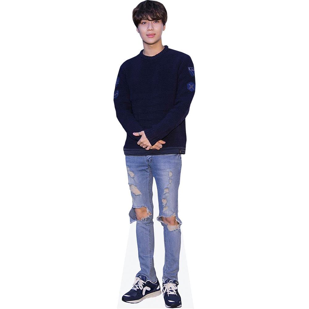 Celebrity Cutouts Life Size Cutout Taemin (Blue Jumper)