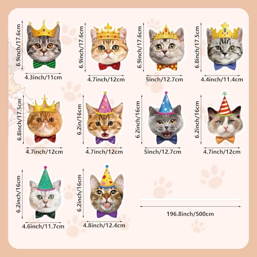 Image of Cat Birthday Banner Cat Birthday Decorations Cats Faces Garland Funny Birthdays Decor for Cats Themed Party Decorations Backdrop Baby Shower