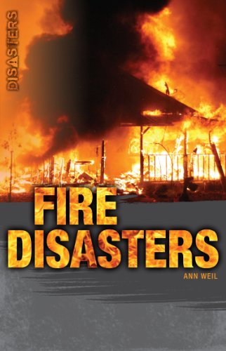 Fire Disasters view 2