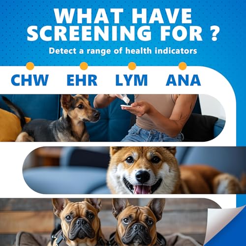 Image of 4-in-1 Dog Health Management Card 4-in-1 Canine Health Signal Analyze Common Canine Illnesses Quick and Easy at-Home Testing