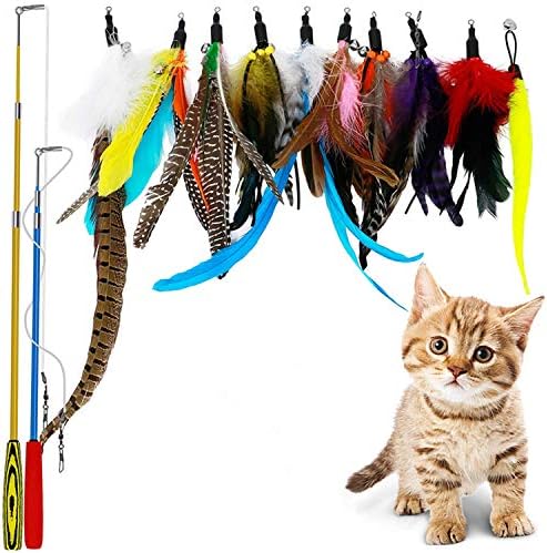 B Bascolor Retractable Cat Toys Interactive Feather Teaser Wand Toy with 2 Poles 10 Attachments Worm Birds Feathers for Kitten Cats