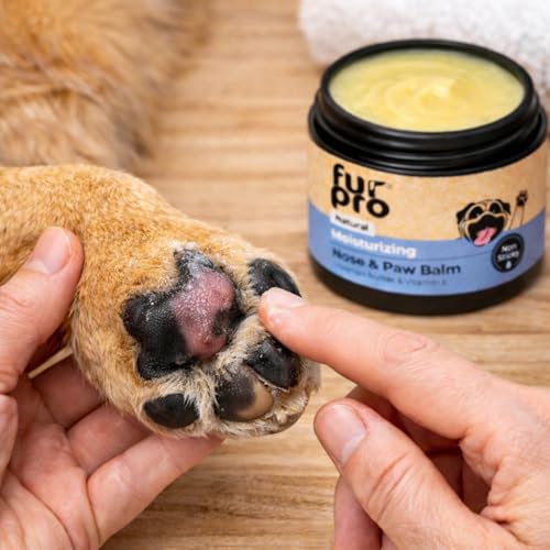 Image of Pet Nose & Paw Balm | Heals, Moisturizes & Softens Dry Paws, Cracked Elbows & Chapped Noses | Enriched with Coconut Oil, Shea Butter, Aloe Vera, Beeswax, Vitamin E & Herbal Oils - 50g