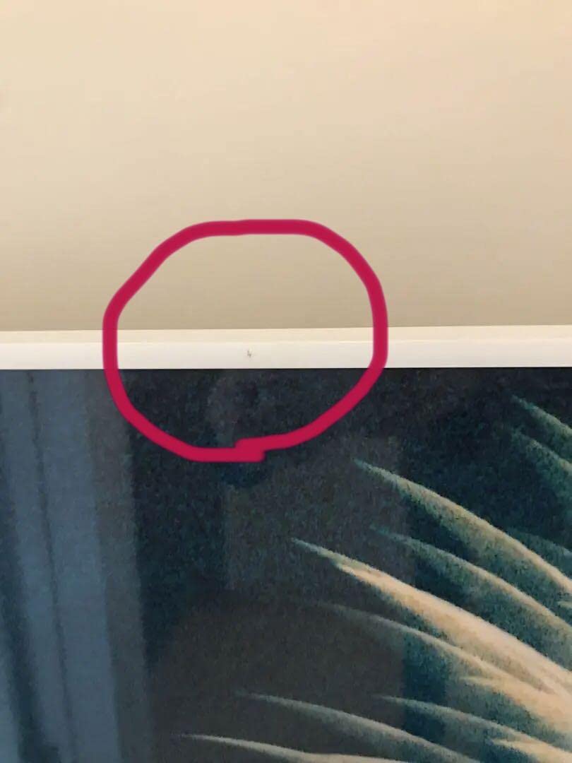 【美品】N/Y坂本龍一写真集　　特典ポスター特注額装　非売品 Amazon.co.jp: N/Y坂本龍一写真集 特典ポスター額装 : おもちゃ