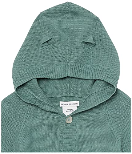 Amazon Essentials Unisex Baby Kapuzenpullover, 2er-Pack, Dunkles Salbeigrün/Haferbeige, 3-6 Monate