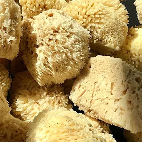 Lather Natural Sea Wool Sponge | Self Care | Shower And Bath Sponge | Natural Loofah | Sea Sponge For Body Care | One Large Sea Sponge Perfect For Facial Cleansing And Body Wash Sponge #TOP3