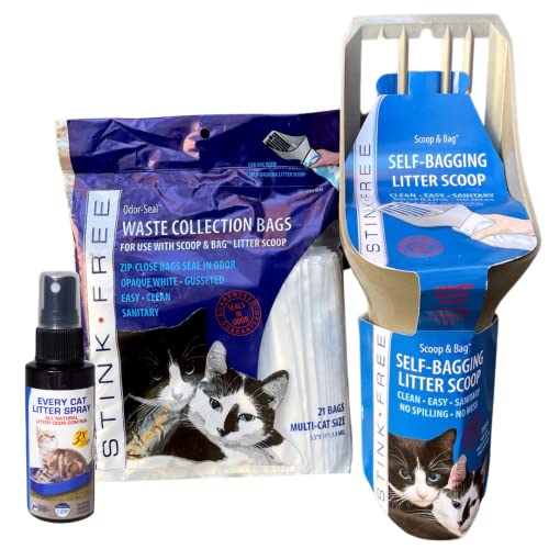 How To Clean Cat Poop From Carpet My Pets Guide