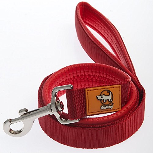 Canny Plomo Rojo 15 mm pequeño/Mediano de Perro