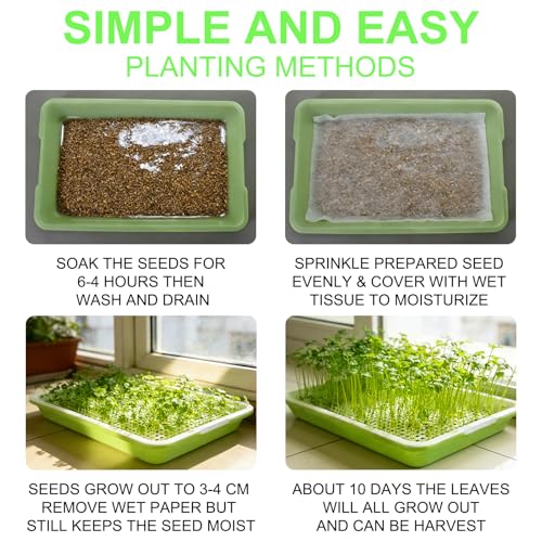 Kresse Anzuchtschalen Keimschalen für Sprossen Microgreens Anzuchtschale Keimschale Sprossenschale Microgreen Anzuchtset Kressesieb Starter Set Anzucht Sprouting Micro Greens Samen Keimsprossenbox