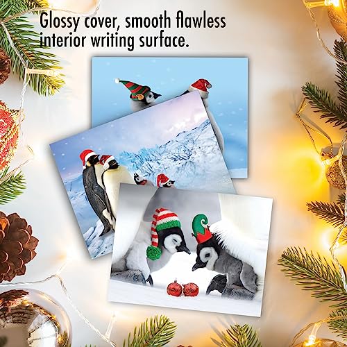 Image of The Best Card Company - 10 Blank Animal Christmas Note Cards - Assorted Bulk Holiday Cards for Men and Women, Fun Wildlife (4 x 5.12 Inch) - Penguins and Greetings M2951XSB