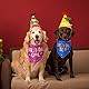 Hunde Bandana, Geburtstag Hundehalstuch, Weicher Hund Dreieck Schal, Lätzchen Zubehör Waschbar Verstellbar Haustier Halstuch Party Supplies für kleine, mittlere und große