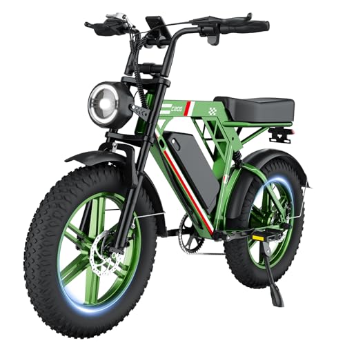 HiQiS Bicicletta Elettrica Adulti, 48V 17.5AH/15AH Batteria...