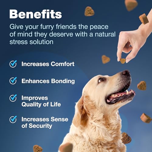 Image of Calming Hemp Treats for Thunderstorms, Fireworks, Separation, & Travelling - Travel Pack of Calming Soft Chews - Dog Anxiety Support