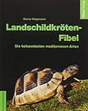  Landschildkröten-Fibel: Die bekanntesten mediterranen Arten