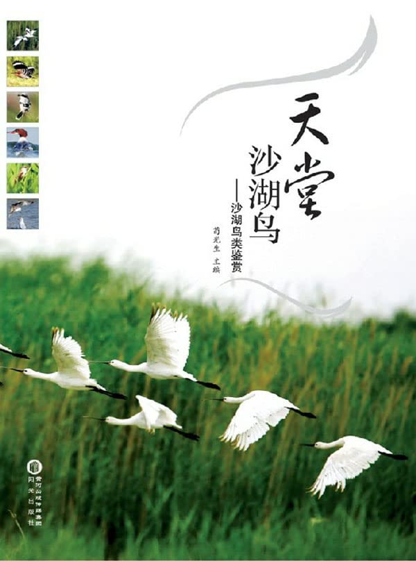 天堂沙湖鸟——沙湖鸟类鉴赏 (Chinese Edition)      Kindle Edition