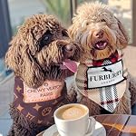 Chewy Vuiton Dog Bandana Designer Fashion Scarf Kerchief for Small Medium and Large Dogs, Funny Parody Gift for Girl or Boy Dog, Soft Durable Fabric, Adjustable Tie-On Style Triangle - Image 6