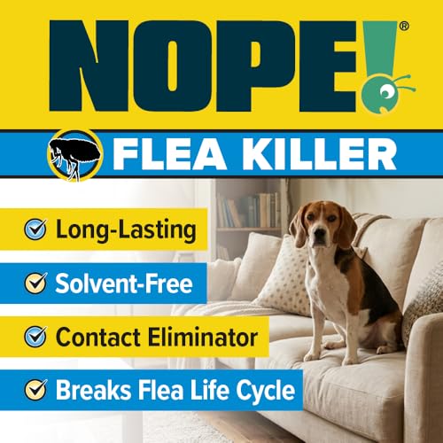NOPE! CP Flea (5 Litre) for The Home – Fast-Acting, Odourless & Non-Staining, Extended Residual Action up to 3 Months. Indoor & Outdoor Flea Killer - 2