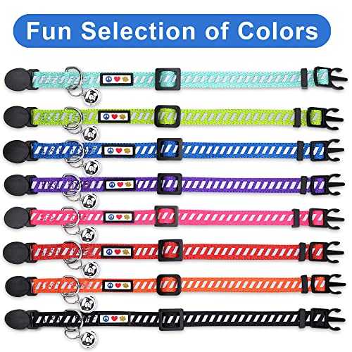Image of Pawtitas Personalized Cat Collar With Breakaway Safety Release Buckle Adjustable Length | Cat Collar With Custom Embroidered For Your Pet's Name And Phone Number | Black Cat Collar With Removable Bell