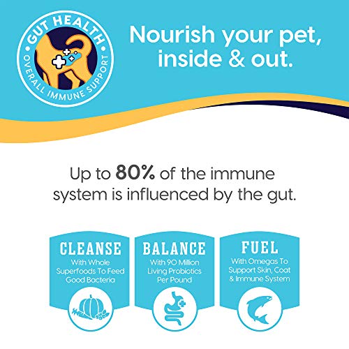 Solid Gold Wet Puppy Food - Made with Real Natural Beef for Puppies- Love at First Bark Grain Free Canned Dog Food for Gut Health, Immune Support and Soft Skin & Coat