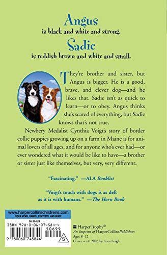 Angus and Sadie - Image 2