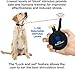 Mini Educator E-Collar ET-300 / ET-302 Dog Training Collar System with Remote - 1/2 Mile Range - Waterproof, Vibration, Sensation - Includes eOutletDeals Pet Towel (2 Dog System - ET-302 Black)