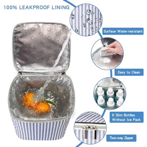 BABEYER 4-Bottle Breast Milk Cooler