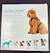 Calmer Canine Anxiety Treatment System (Device Only/Small)