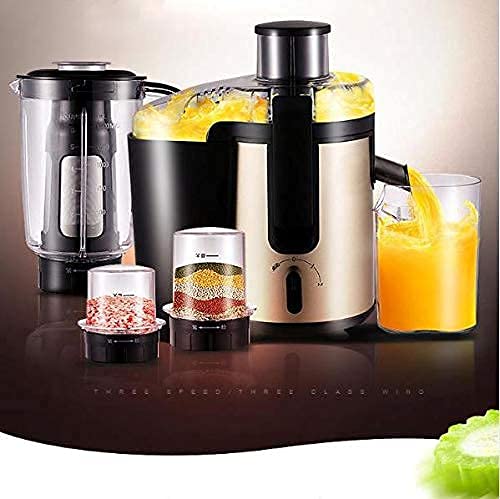 ERoomQ Multifunctional Household Fruit and Vegetable Juicer, High-Power Stainless Steel Grinder,Food-Grade Stainless Steel,Multi-Purpose Machine
