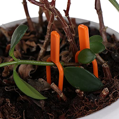 Amazon | 植物サポート 園芸クリップ 100本セット プラントクリップ